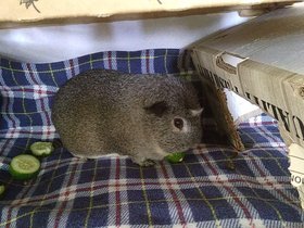 2020-10-28-14-00-45 Harriet.jpg